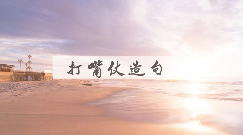 用打嘴仗造句
