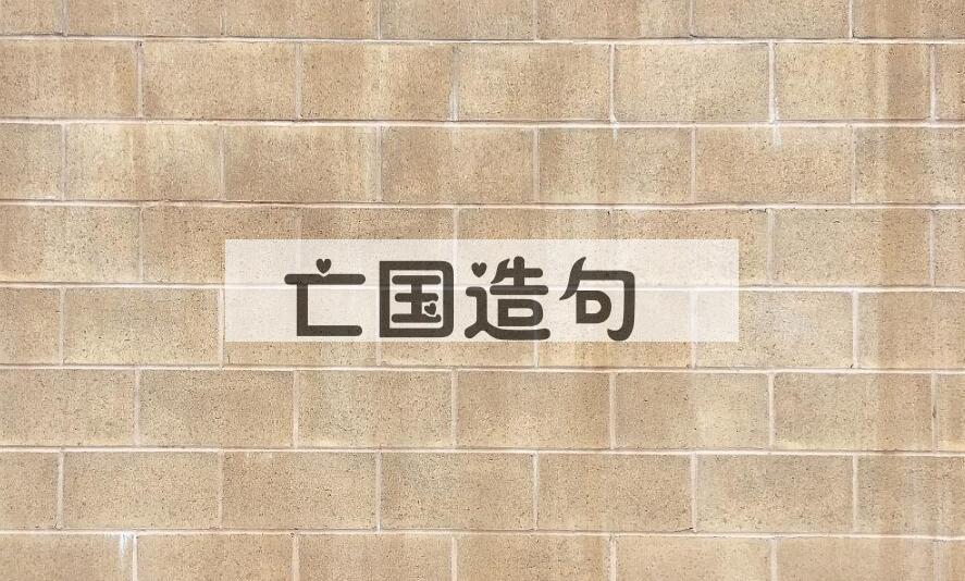 用亡国造句