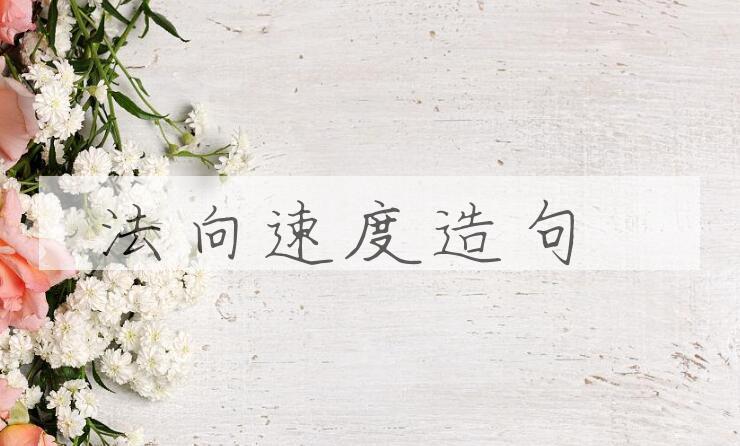 用法向速度造句
