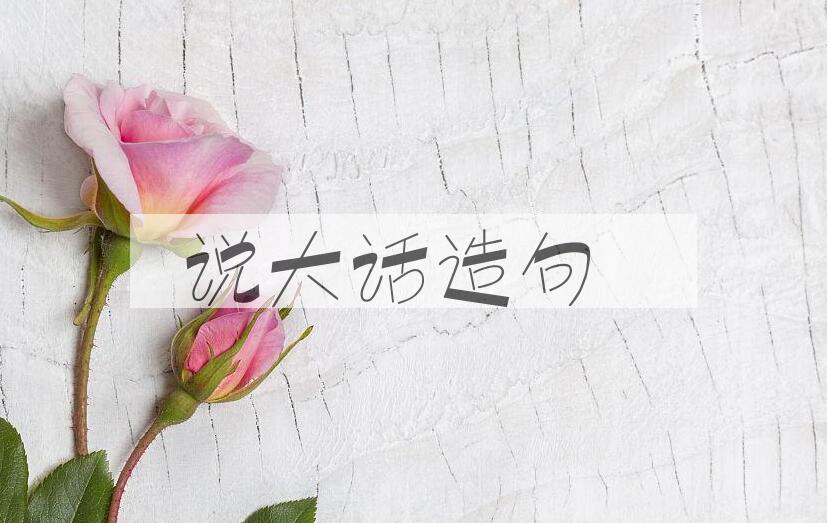用说大话造句