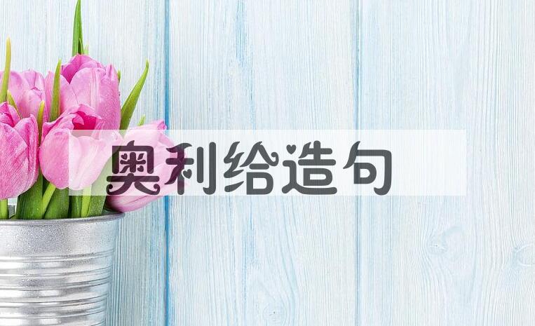 用奥利给造句