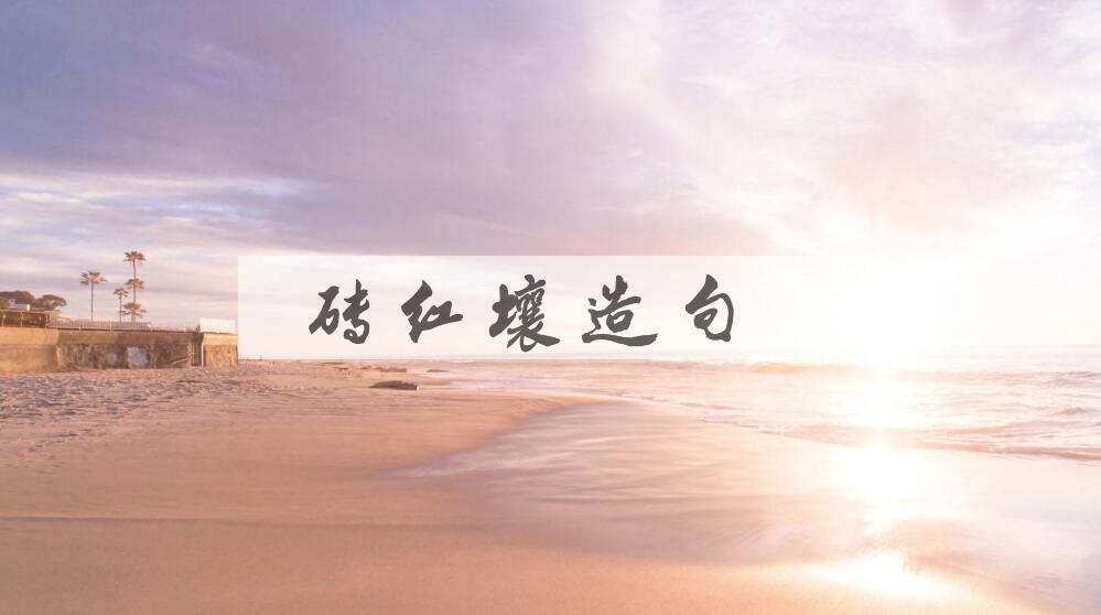 用砖红壤造句