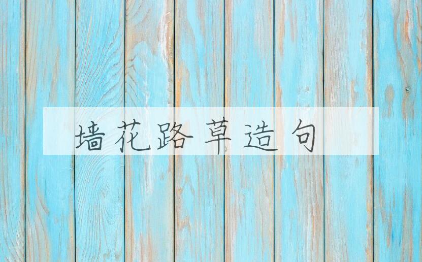 用墙花路草造句