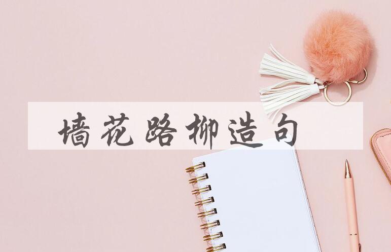 用墙花路柳造句