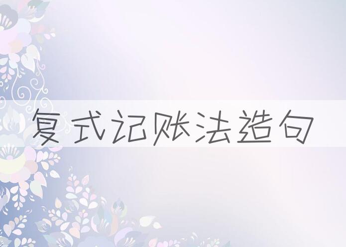 用复式记账法造句