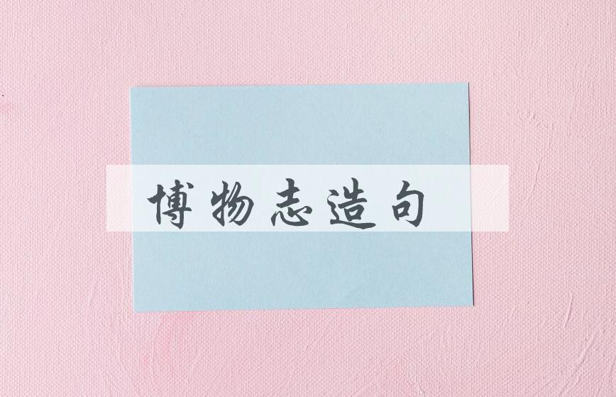 用博物志造句