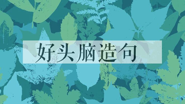 用好头脑造句