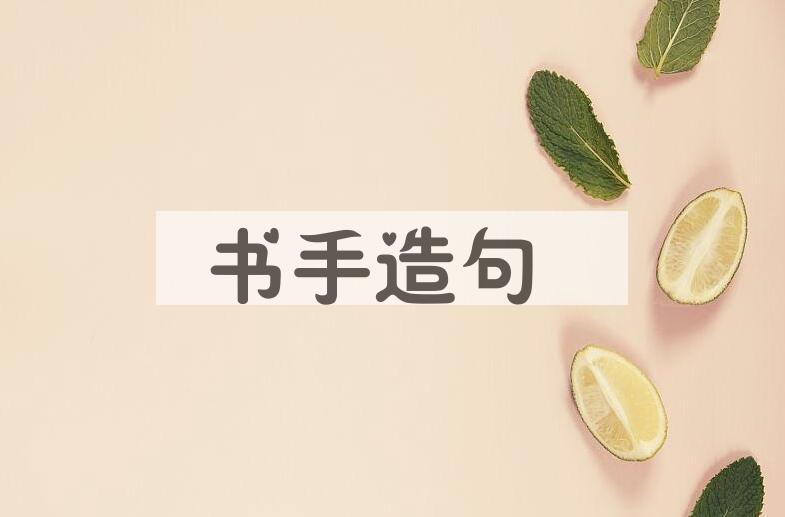 用书手造句