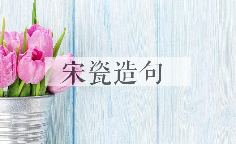 用宋瓷造句