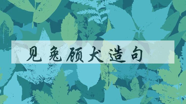 用见兔顾犬造句