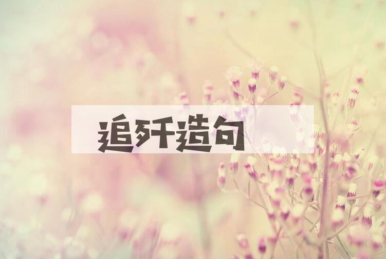 用追歼造句