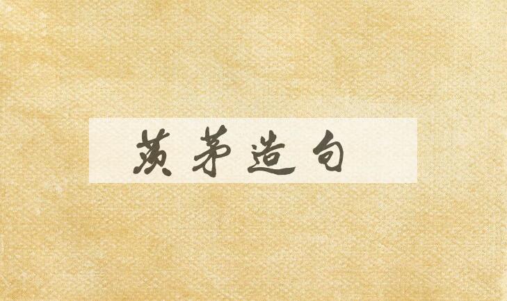 用茨茅造句