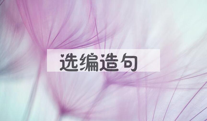 用选编造句