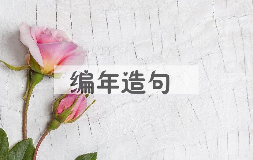 用编年造句