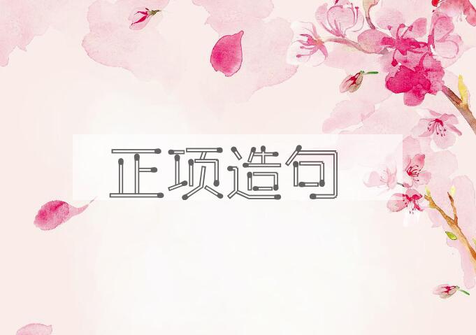 用正项造句