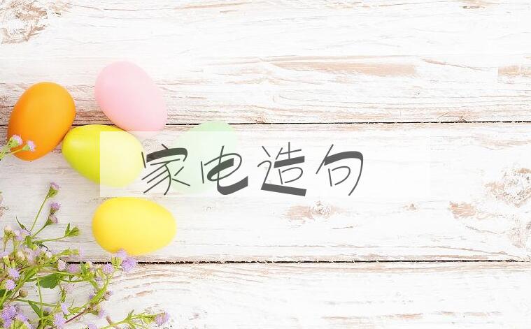用家电造句