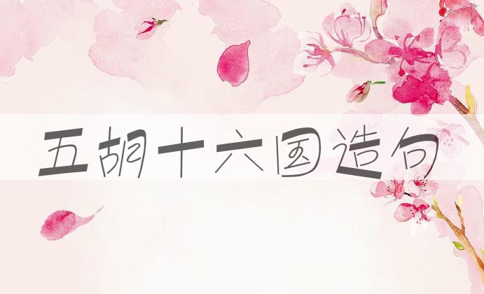 用五胡十六国造句