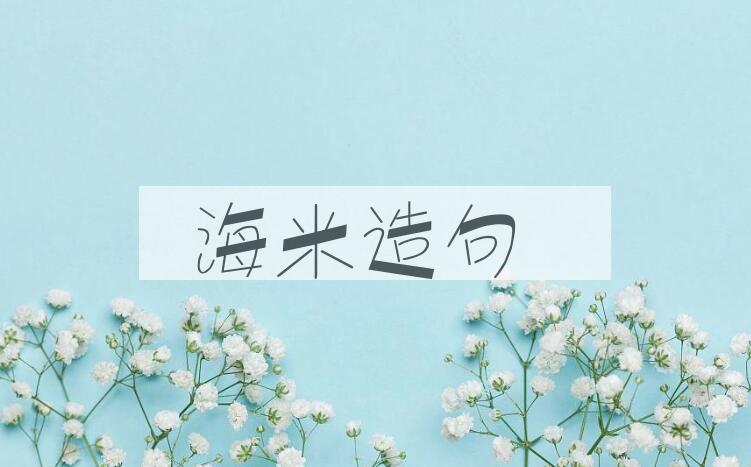 用海米造句