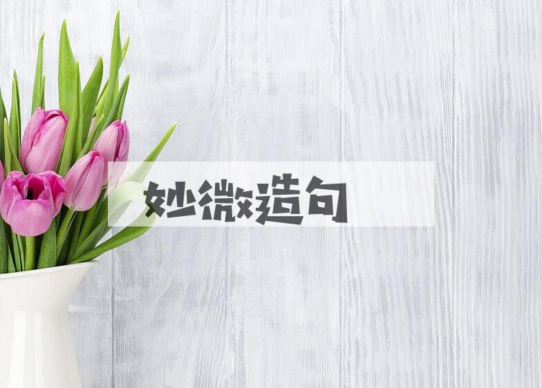 用妙微造句