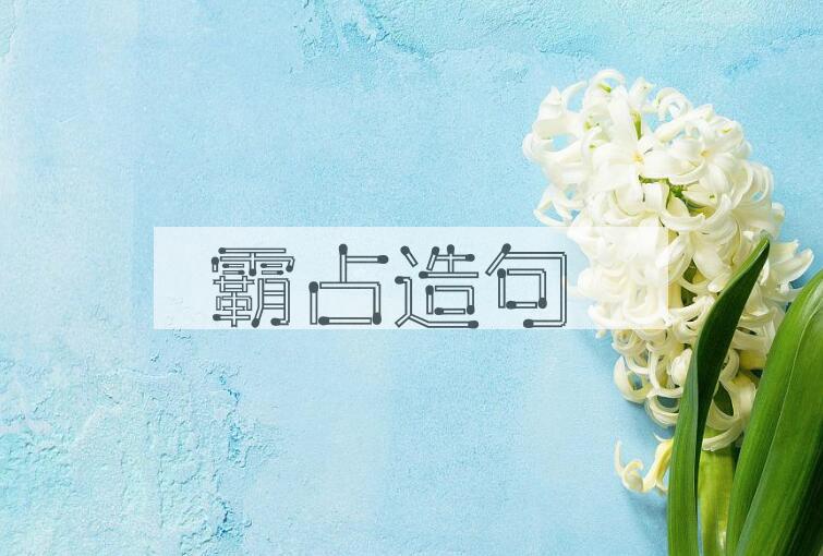 用霸占造句