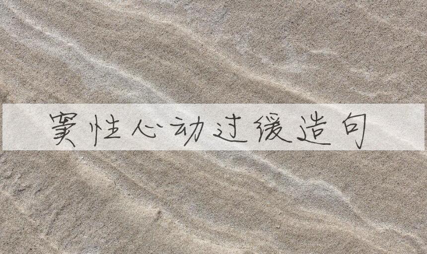 用窦性心动过缓造句