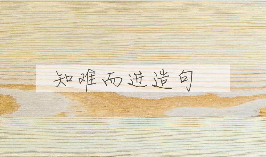 用知难而进造句