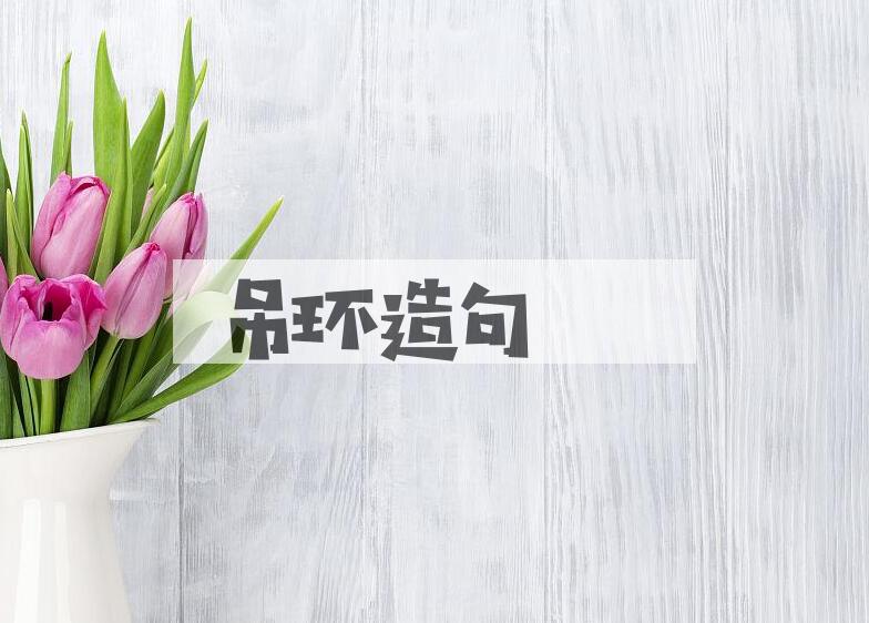 用吊环造句
