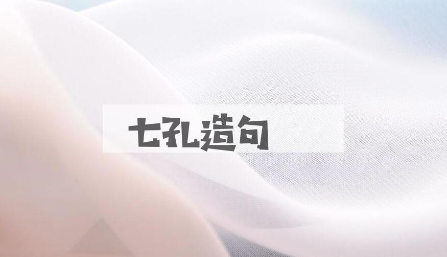 用七孔造句