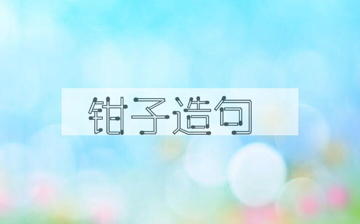 用钳子造句