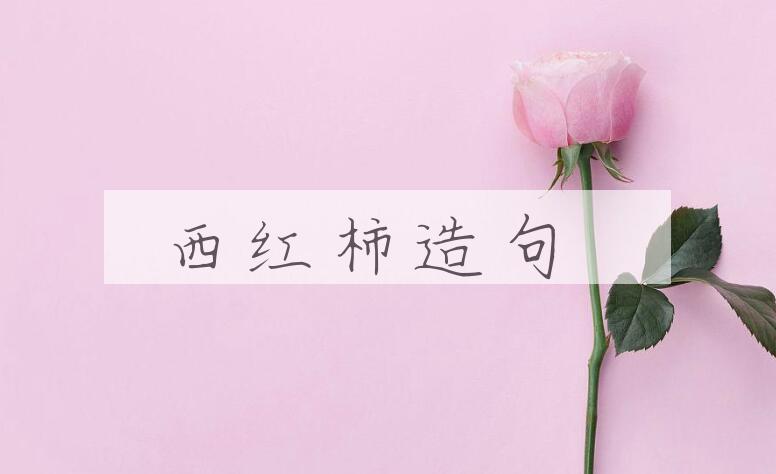 用西红柿造句