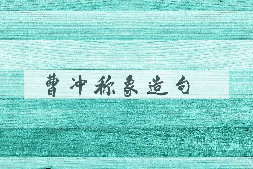 用曹冲称象造句