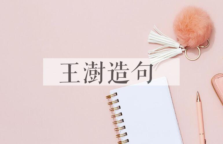 用王澍造句