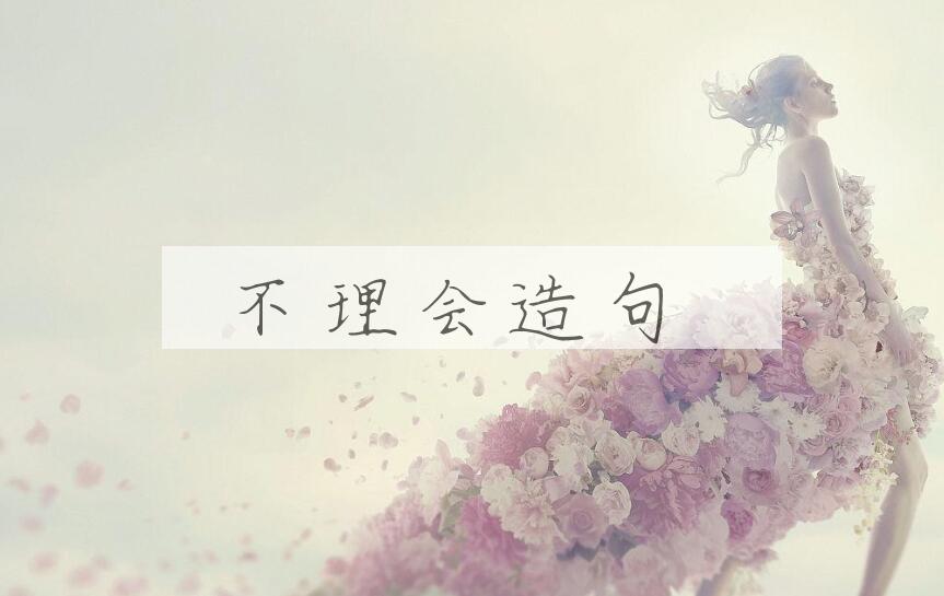 用不理会造句