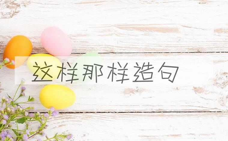 用这样那样造句