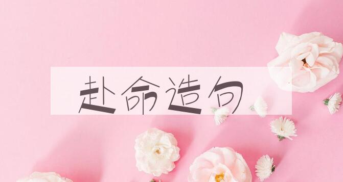 用赴命造句