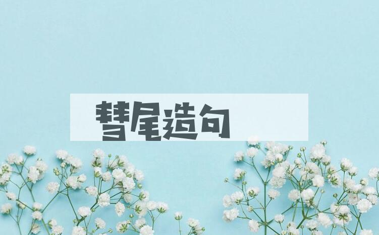 用彗尾造句
