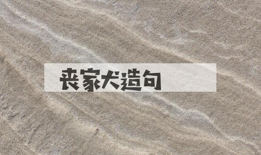 用丧家犬造句