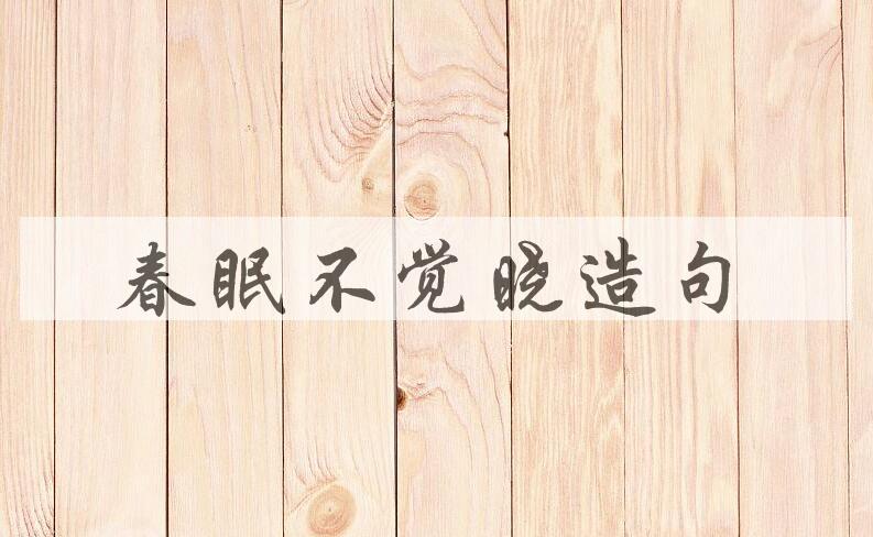 用春眠不觉晓造句