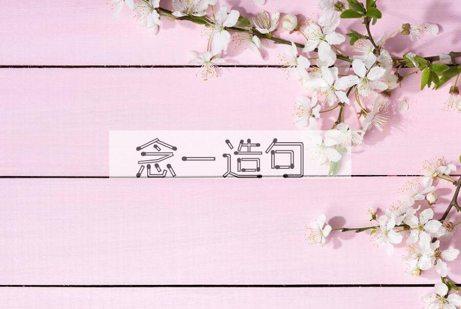 用念一造句