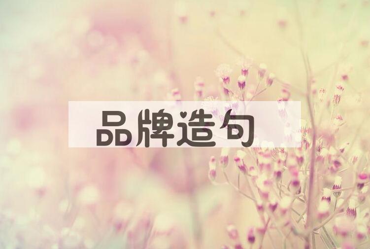 用品牌造句