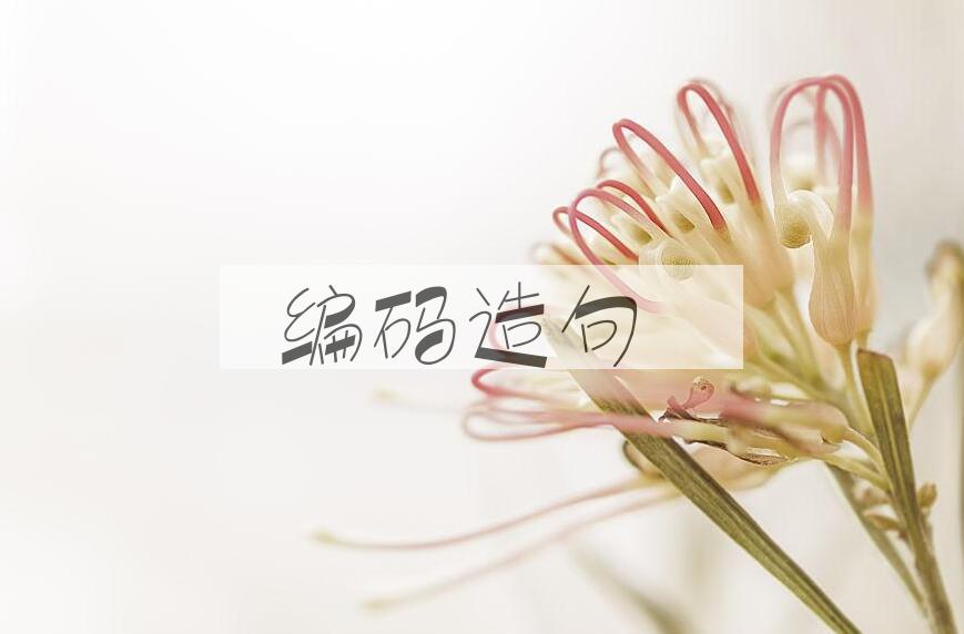 用编码造句