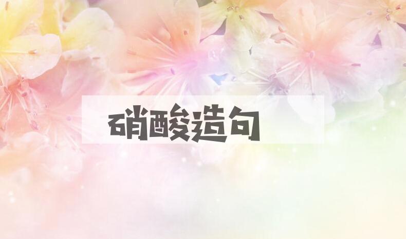 用硝酸造句