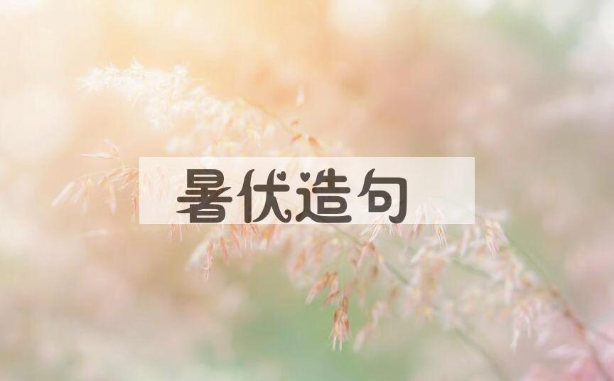 用暑伏造句