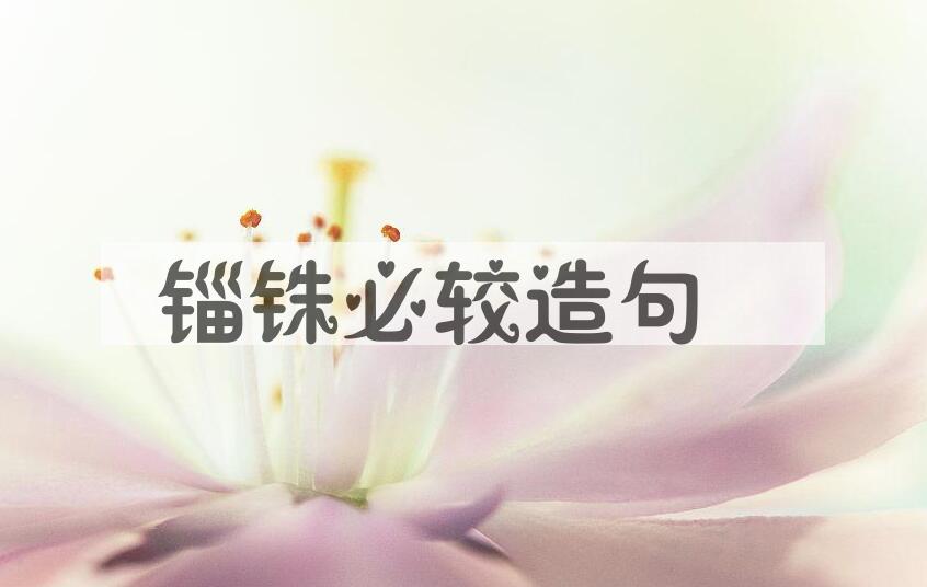用锱铢必较造句