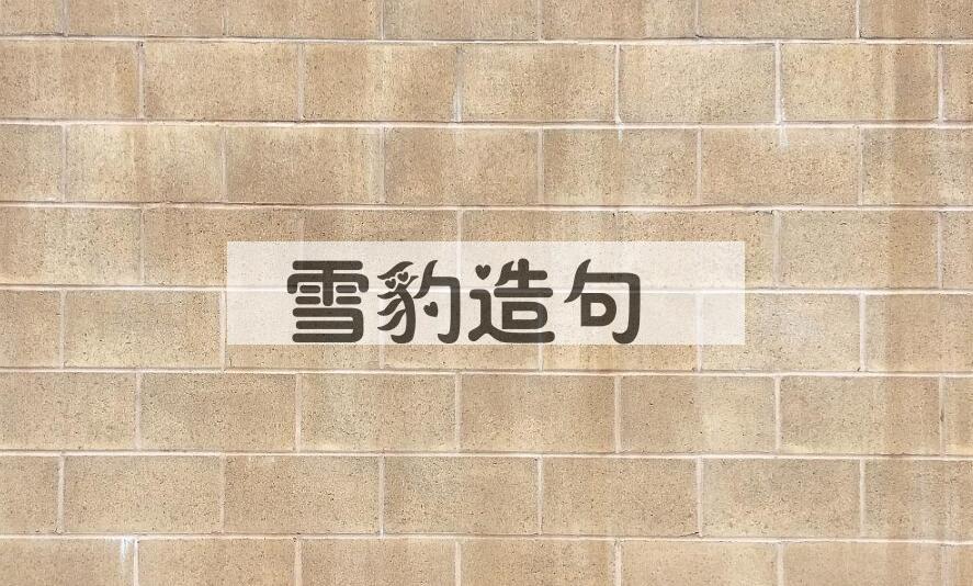 用雪豹造句
