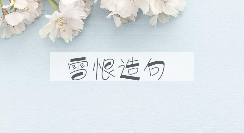 用雪恨造句