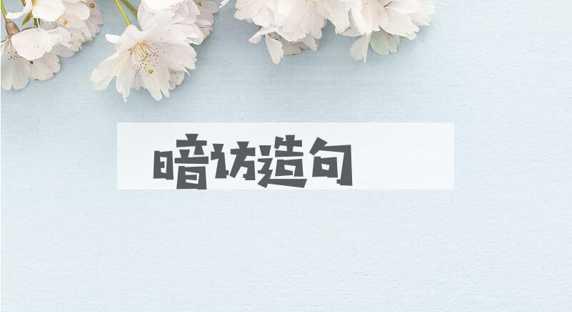 用暗访造句
