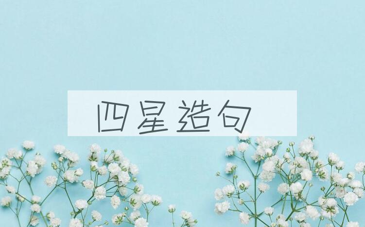 用四星造句
