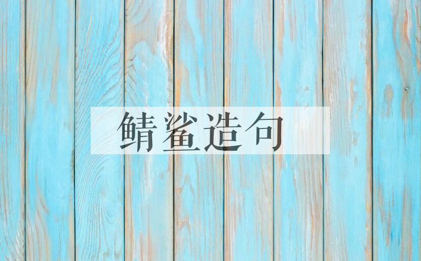 用鲭鲨造句