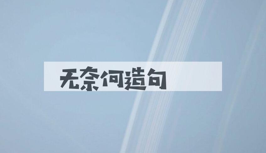 用无奈何造句